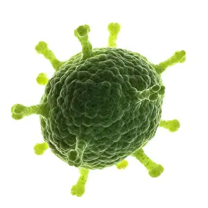 Digitally Generated Prints: 3d rendered medical illustration - conceptual virus