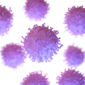 Nucleus Prints: 3d rendered, medically accurate illustration of stem cells