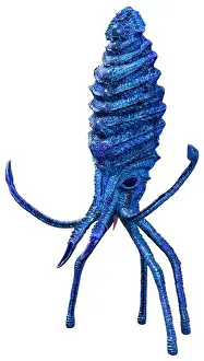 Squid Prints: 3D rendering of a blue squid isolated on white background