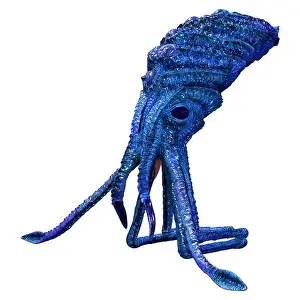 Squid Prints: 3D rendering of a blue squid isolated on white background