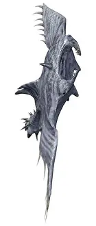Manta Prints: 3D rendering of a devil ray isolated on white background