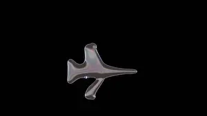 Soap Prints: 3D rendering of distorted transparent soap bubble in shape of symbol of fighting falcon fighter jet isolated on black