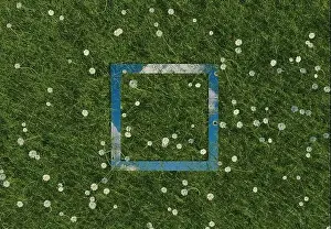 Daisies Prints: 3d rendering of framed square mirror reflecting blue sky and surrounded by white daisies