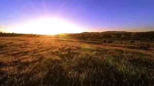 Glade Prints: 4K UHD mountain meadow timelapse at the summer