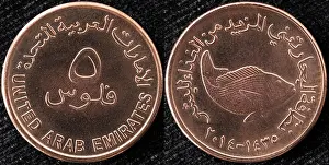 Arabian Peninsula Prints: 5 fils coin, United Arab Emirates, 2014