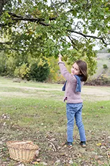 Oak Tree Prints: 5 year old girl at countryside