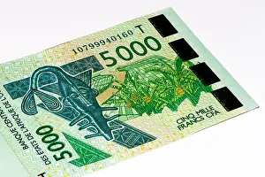 5000 CFA franc bank note. CFA franc is used in 14 African countries