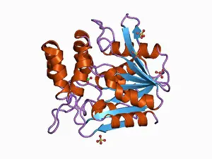 6 PDB 1a8s EBI