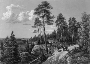 Finnish Prints: 66 B Reinhold Landskap från Savolax