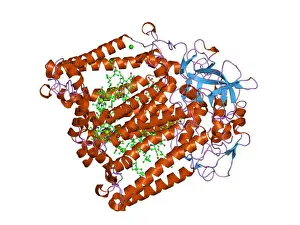 Dynamics Prints: 88 PDB 1ogv EBI