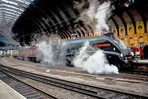 A4 Pacific no 4498 Sir Nigel Gresley stationary at York Railway Station, York, England