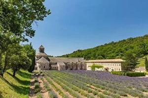 Images Dated 3rd July 2018: Abbey of Senanque blooming lavender flowers. Gordes, Luberon, Pr