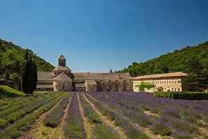 Abbey of Senanque and blooming rows lavender flowers on sunset. Gordes, Luberon, Vaucluse, Provence, France, Europe. Summer travel landscape, historic