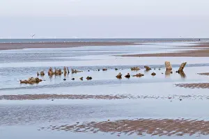 Abergele Pensarn beach on the North Wales coast showing visible remains of Endeavour 1817 carvel built sloop lost in a