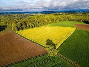 Horizon Sky Prints: An absolutely stunning aerial photograph brilliantly showcasing the vibrant colorful patchwork of autumn crops