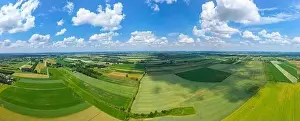 Parcels Prints: Abstract geometric shapes of agricultural parcels of different crops in yellow and green colors