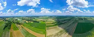 Parcels Prints: Abstract geometric shapes of agricultural parcels of different crops in yellow and green colors