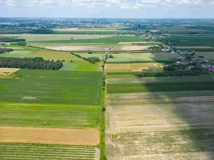 Parcels Prints: Abstract geometric shapes of agricultural parcels of different crops in yellow and green colors
