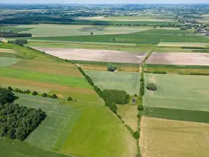Abstract geometric shapes of agricultural parcels of different crops in yellow and green colors