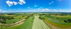 Parcels Prints: Abstract geometric shapes of agricultural parcels of different crops in yellow and green colors