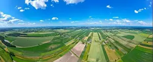 Abstract geometric shapes of agricultural parcels of different crops in yellow and green colors