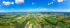 Parcels Prints: Abstract geometric shapes of agricultural parcels of different crops in yellow and green colors