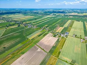 Arable Prints: Abstract geometric shapes of agricultural parcels of different crops in yellow and green colors