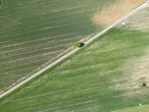 Arable Prints: Abstract geometric shapes of agricultural parcels of different crops in yellow and green colors