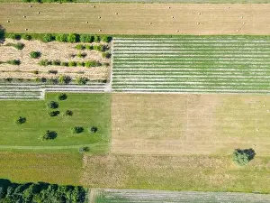 Arable Prints: Abstract geometric shapes of agricultural parcels of different crops in yellow and green colors