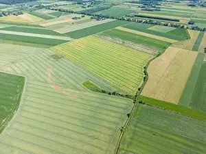 Arable Prints: Abstract geometric shapes of agricultural parcels of different crops in yellow and green colors
