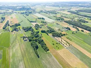 Arable Prints: Abstract geometric shapes of agricultural parcels of different crops in yellow and green colors