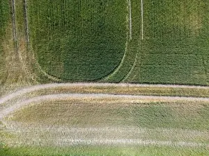 Arable Prints: Abstract geometric shapes of agricultural parcels of different crops in yellow and green colors