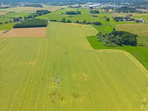 Arable Prints: Abstract geometric shapes of agricultural parcels of different crops in yellow and green colors