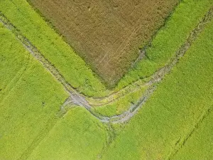 Arable Prints: Abstract geometric shapes of agricultural parcels of different crops in yellow and green colors