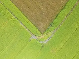 Arable Prints: Abstract geometric shapes of agricultural parcels of different crops in yellow and green colors
