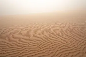 Abu Dhabi Prints: Abstract image of a patterned sand dune in dense fog on a winter morning