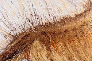 Fashion Illustration Prints: Abstract painting background, beautiful picture with brown and white colors