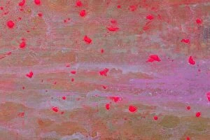 Images Dated 2nd September 2017: Abstract painting. Beige background with pink dots. Oil painting
