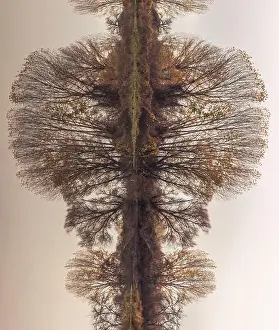 Mirroring Prints: Abstract, rotated, reflection of riverbank trees on the calm river water