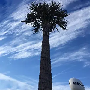 Gulf Coast Prints: Abstract shot of the Navarre Beach water tower next to a palm tree