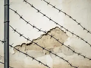 Thorn Prints: Abstract vintage picture with a barbed wire fence link
