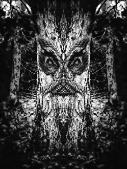 Wise Prints: Abstract weird tree with human face in a black and white monotone