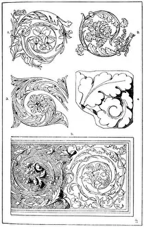 Wood Engraving Prints: Acanthus tendril: 1st Roman acanthus tendril from a marblediga