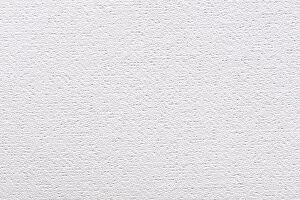 Images Dated 14th November 2019: Acrylic canvas texture in elegant white color for your design look
