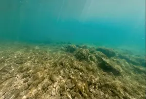 Adria Prints: Actioncam underwater seascape capture during snorkeling at croatia, adriatic sea