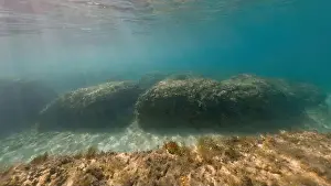 Adria Prints: Actioncam underwater seascape capture during snorkeling at croatia, adriatic sea