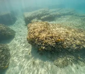 Adria Prints: Actioncam underwater seascape capture during snorkeling at croatia, adriatic sea
