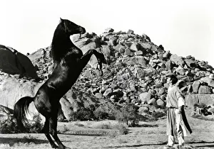 Actor Prints: Actor Kelly Reno in the movie The Black Stallion Returns, 1983