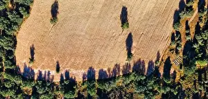 Land Lot Prints: Aerial aerial view of arable fields and surrounding trees. Background