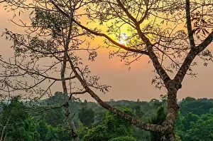 Amazon Rainforest Prints: Aerial Amazon Rainforest landscape at sunset comprising the countries Brazil